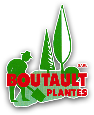 BOUTAULT PLANTES